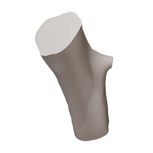 Log 03
