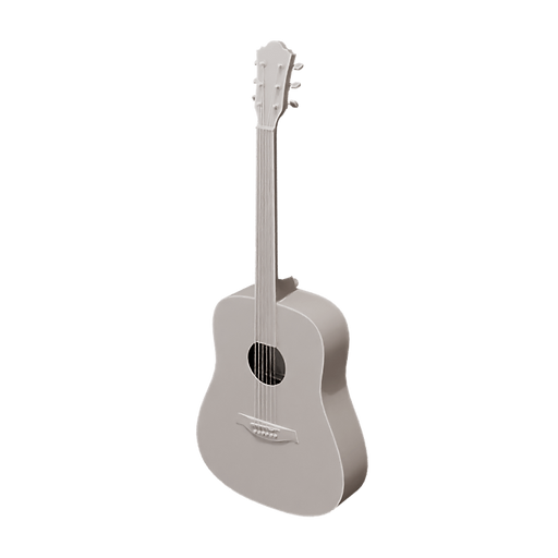 Acoustic Guitar