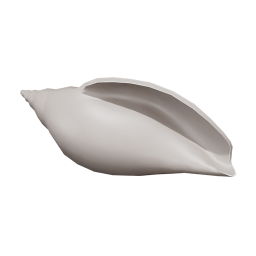 Shell 01