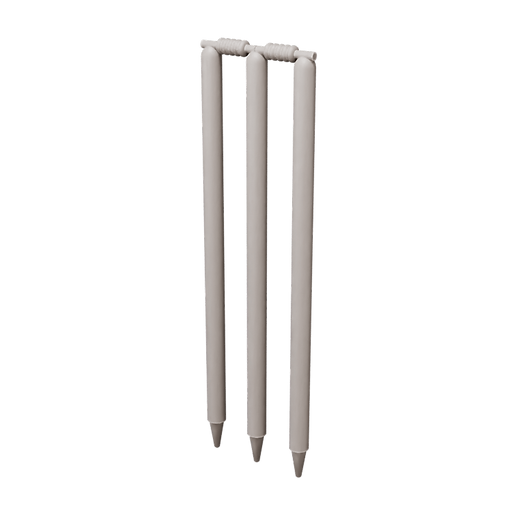 Cricket Wicket 01