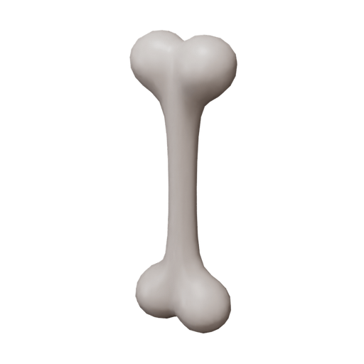 Cartoon Bone