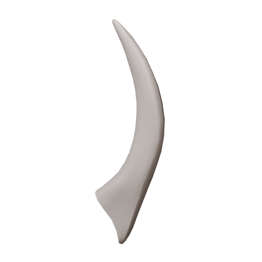 Rhino Large Horn