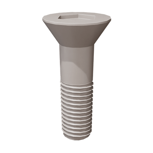 Allen Key Screw