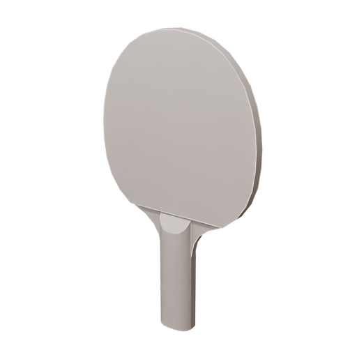 Table Tennis Paddle