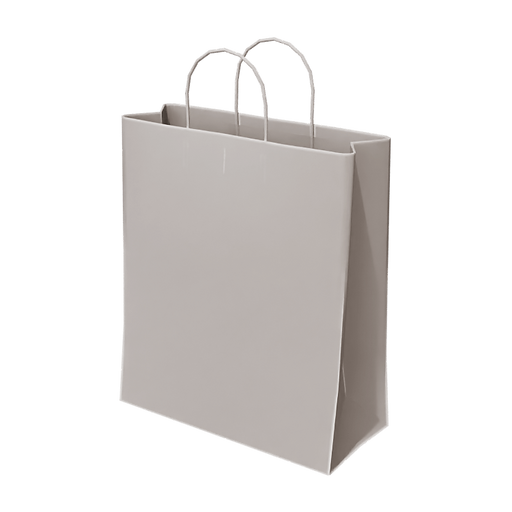 Paper Bag 01
